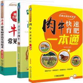 肉牛快速育肥一本通+牛羊常见病+高效养肉牛（全套三册）