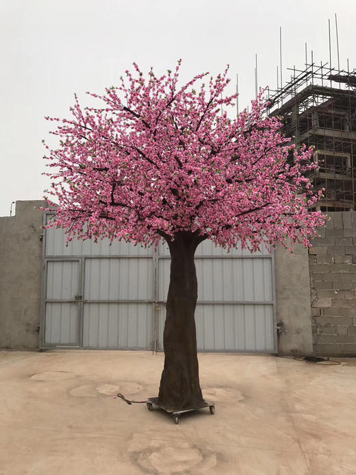 桃花树【运费自理】 商品图1