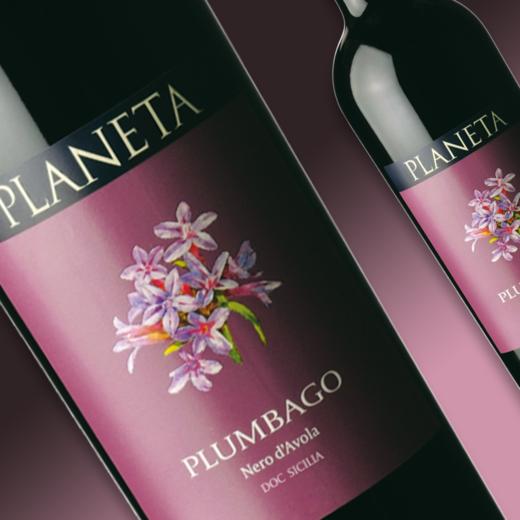 朴奈达酒庄蓝雪花红葡萄酒  2022年份 意大利 商品图1