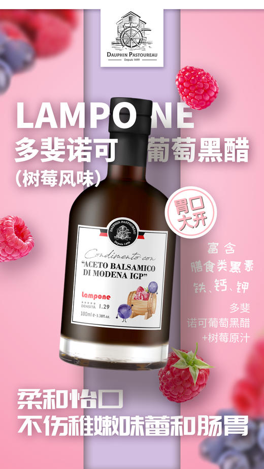 法国Dauphin多斐诺克葡萄黑醋100ml（12瓶/箱，保质期4-10年） 商品图3