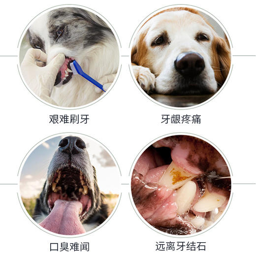 道力其 宠物口腔喷雾120ml狗狗猫咪口腔清洁除口臭漱口水可食用 商品图6