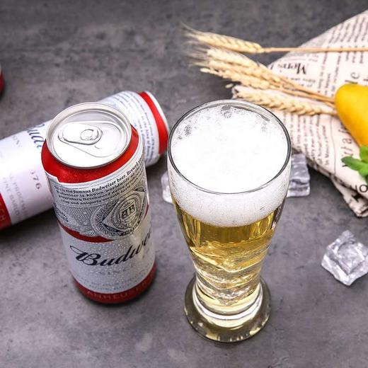 百威 罐装啤酒 500ml 商品图3