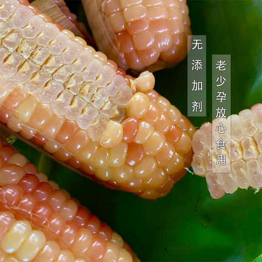 西双版纳 香糯小包谷 非转基因 开袋即食 4斤/1箱【包邮】 商品图3