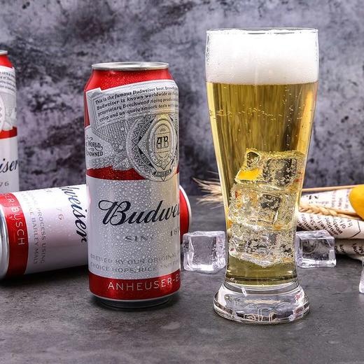 百威 罐装啤酒 500ml 商品图2