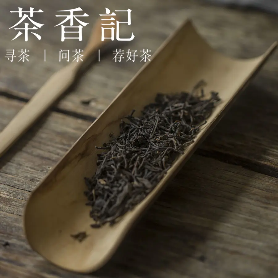 六堡茶2020(六堡茶20317简介)