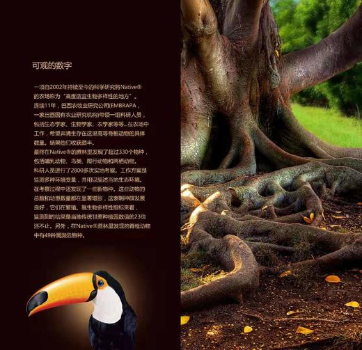 有机砂糖 | 物理加工 | 公平贸易 * Organic Sugar | Fair Trade 商品图4