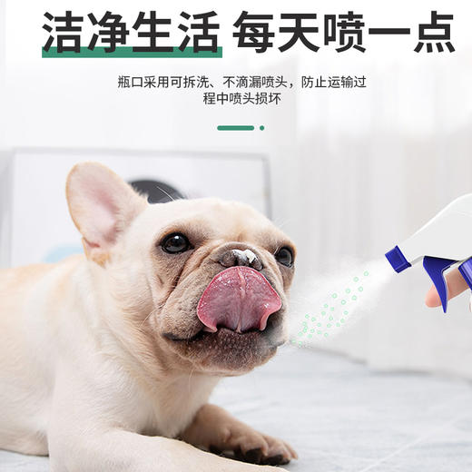 道力其宠物除臭剂消毒液喷雾500ml清新空气 厂家直售 一手货源 商品图3