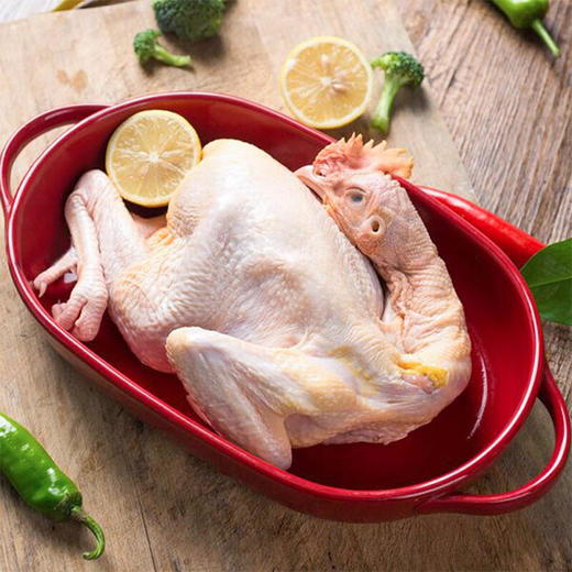 【林下散养老母鸡】净膛/约1.8斤/只，肉质鲜美，炖汤更香 商品图0