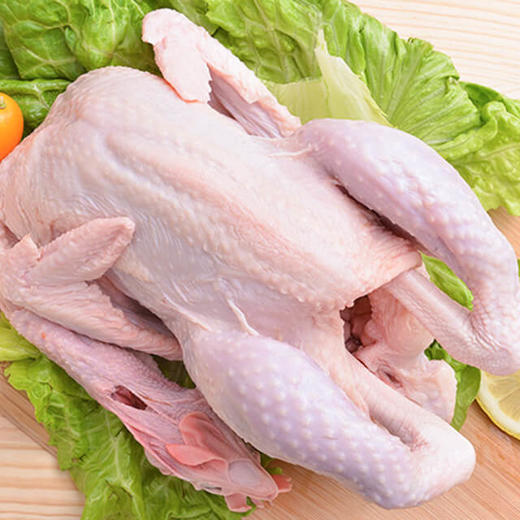 【林下散养老母鸡】净膛/约1.8斤/只，肉质鲜美，炖汤更香 商品图1