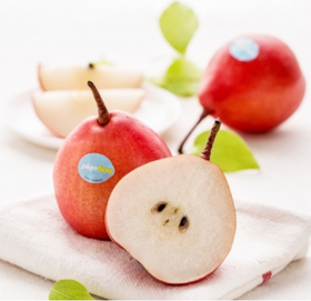 新西兰红蜜梨 单果270g左右