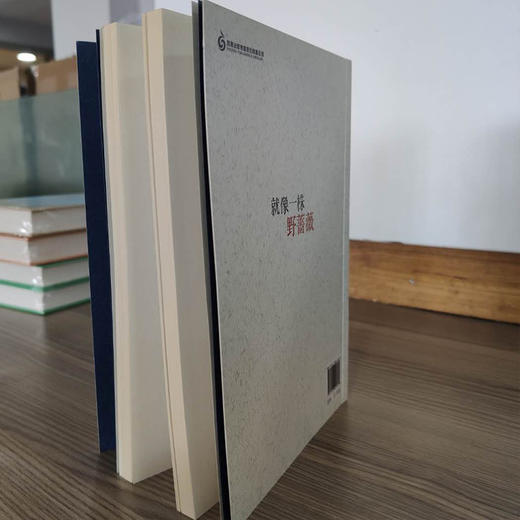 就像一株野蔷薇   五年级推荐自读小学生课外阅读经典书目5年级 商品图3