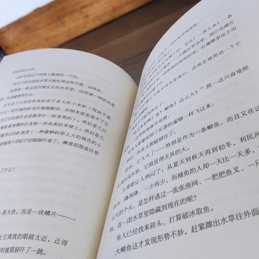 就像一株野蔷薇   五年级推荐自读小学生课外阅读经典书目5年级 商品图2