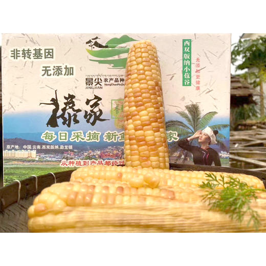 西双版纳 香糯小包谷 非转基因 开袋即食 4斤/1箱【包邮】 商品图1