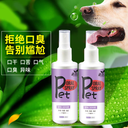 道力其 宠物口腔喷雾120ml狗狗猫咪口腔清洁除口臭漱口水可食用 商品图9