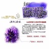 新疆伊犁薰衣草香包 30克/包*6个礼盒装  全国包邮 商品缩略图4
