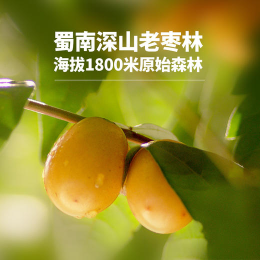 四川特产【酸弟南酸枣糕】四川特产女生小零食休闲食品孕妇零食小吃 商品图5