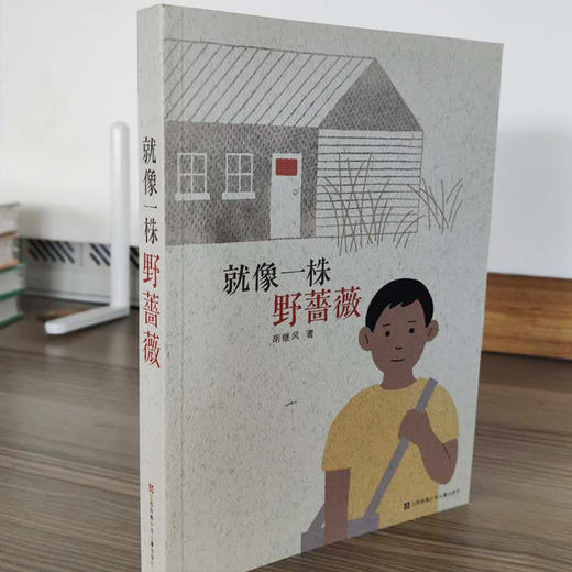 就像一株野蔷薇   五年级推荐自读小学生课外阅读经典书目5年级 商品图4