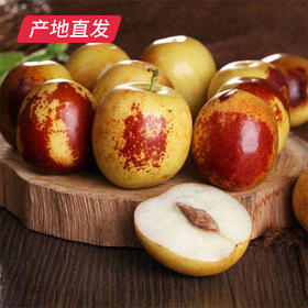 【妙脆牛奶冬枣】2斤/4斤，精品果，绿色食品，出口品质