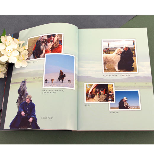 驯鹿六季    五年级推荐自读小学生课外阅读经典书目5年级 商品图2