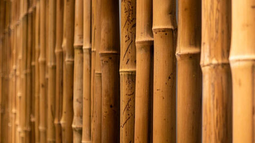 AMOONCAFE 商品图0