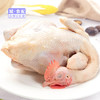 【BH】【TG】【城食配】三黄鸡 约2斤 商品缩略图0