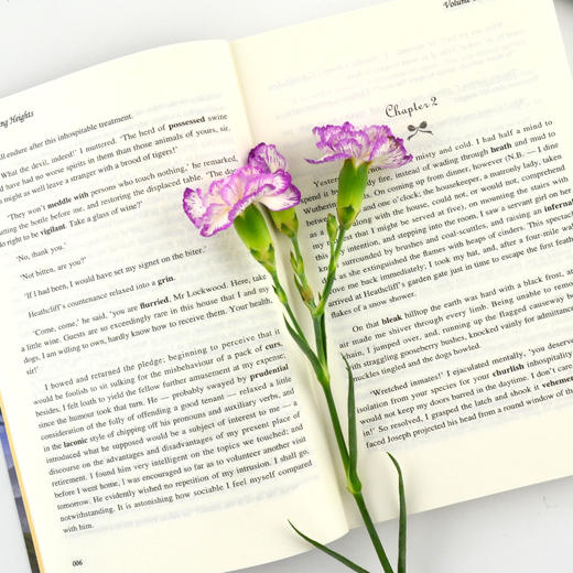 呼啸山庄：中文版+英文原版（2册套装 全版无删减）世界经典文学名著 商品图3