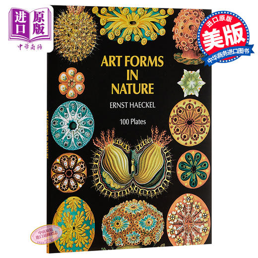 【中商原版】自然界的艺术形式 英文原版 Art Forms in Nature Ernst Haeckel 恩斯特·海克尔 科普读物 生物科学 插图绘图 商品图0