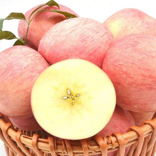 佳农洛川苹果5斤 商品图0