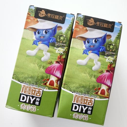 考拉精灵蘑菇盒  家庭蘑菇种植包 秀珍菇 2盒装 商品图1
