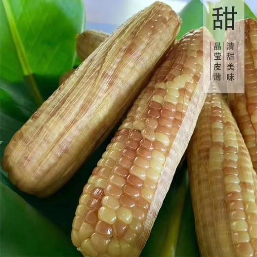 西双版纳 香糯小包谷 非转基因 开袋即食 4斤/1箱【包邮】 商品图2