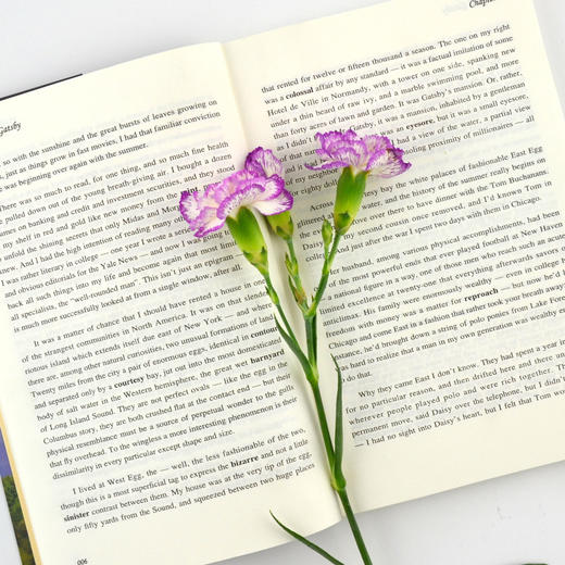 了不起的盖茨比中文版+英文版 无删节 【2册套装】 世界经典文学名著 商品图4