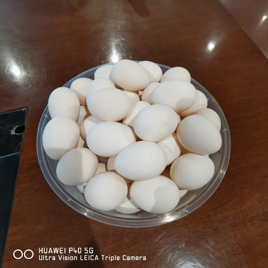 贵妃鸡蛋5斤京津冀顺丰包邮（不满格）