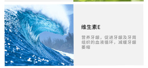 日本SUNSTAR食盐牙周病预防牙膏 170gJPY带授权招加盟代理 商品图4