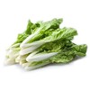 小白菜500g 商品缩略图0