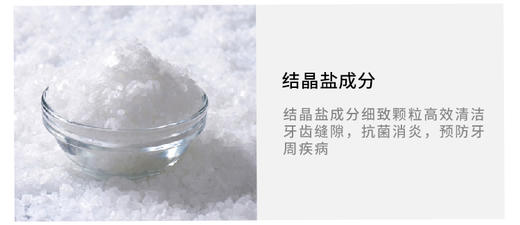 日本SUNSTAR食盐牙周病预防牙膏 170gJPY带授权招加盟代理 商品图5