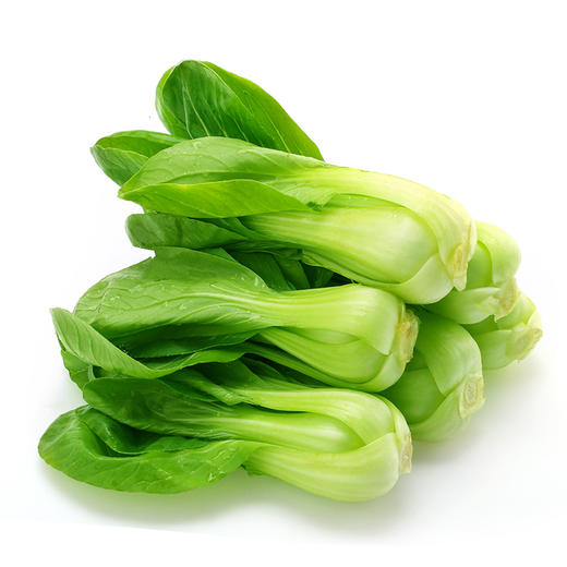 小青菜500g 商品图0