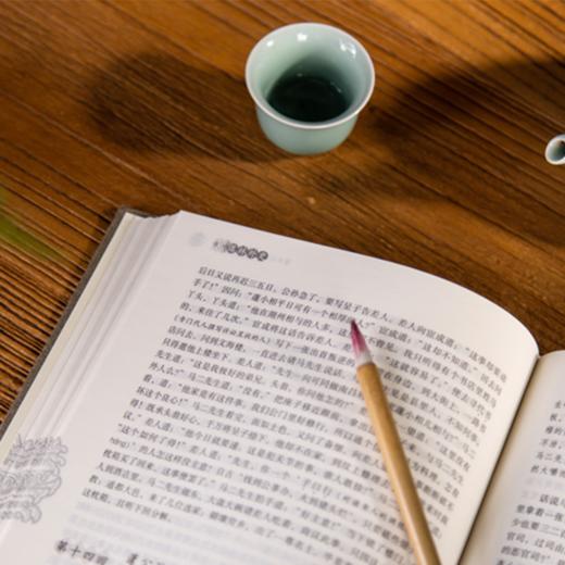 《儒林外史》《镜花缘》| 中国讽刺小说巅峰之作，名家演播，阅读无障碍 商品图2