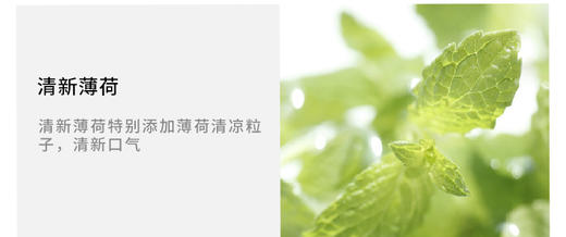 日本SUNSTAR食盐牙周病预防牙膏 170gJPY带授权招加盟代理 商品图3