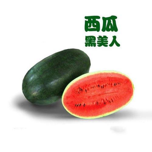 抢购价385元斤纯甜黑美人西瓜