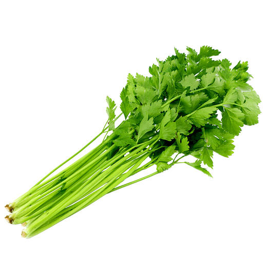 芹菜500g 商品图0