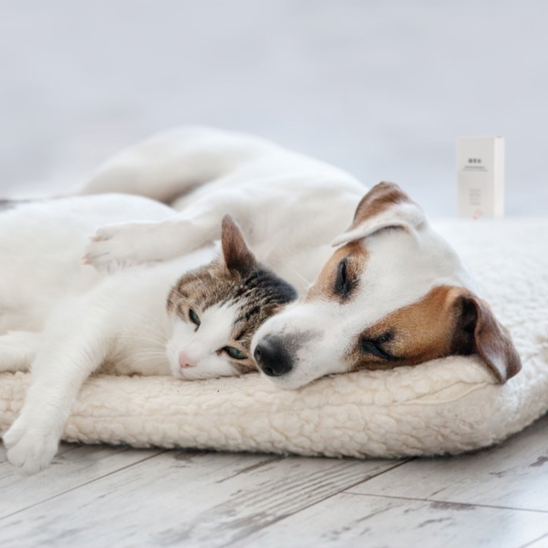 CatS 自用推荐：入口无毒级超好用宠物除臭液