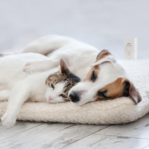 CatS 自用推荐：入口无毒级超好用宠物除臭液 商品图0