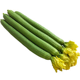 丝瓜500g(±50g)