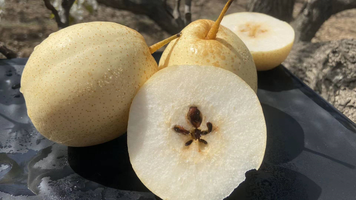 『赵县雪花梨』大如拳 甜如蜜 脆如菱 18.8元5斤包邮