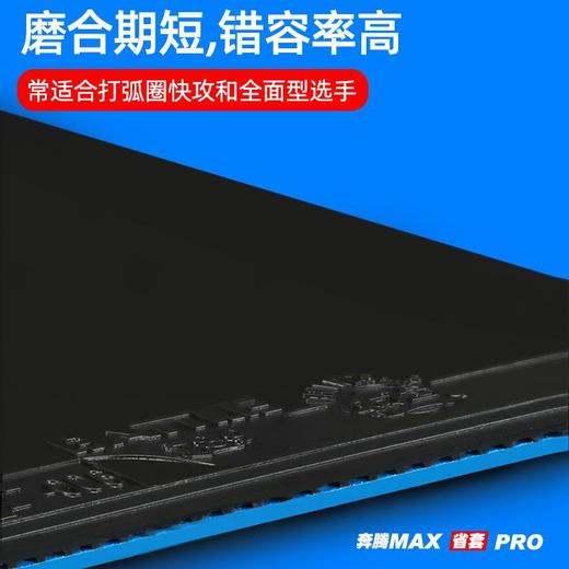 友谊729 奔腾MAX 省队PRO专用套胶蓝海绵粘套胶 商品图3