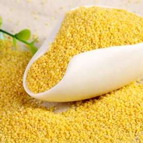 【24.5元5斤】散小米（0100555）