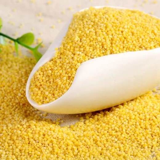 【24.5元5斤】散小米（0100555） 商品图0