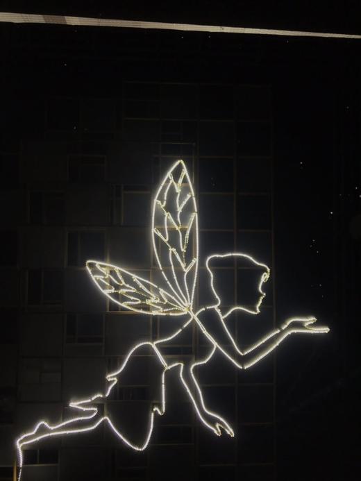 特价天使精灵（特价款）【运费自理】 商品图1