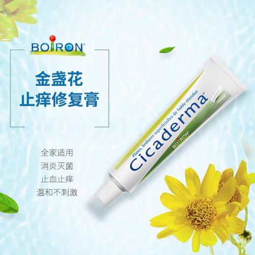 法国宝泓Boiron止痒膏蚊虫膏30g 商品图1