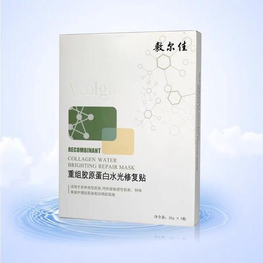 敷尔佳绿膜5片/盒 商品图1